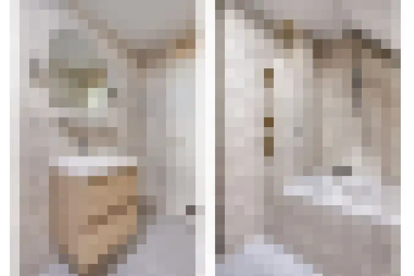 Ganimedesstraat 3 A Krommenie thumbnail 25