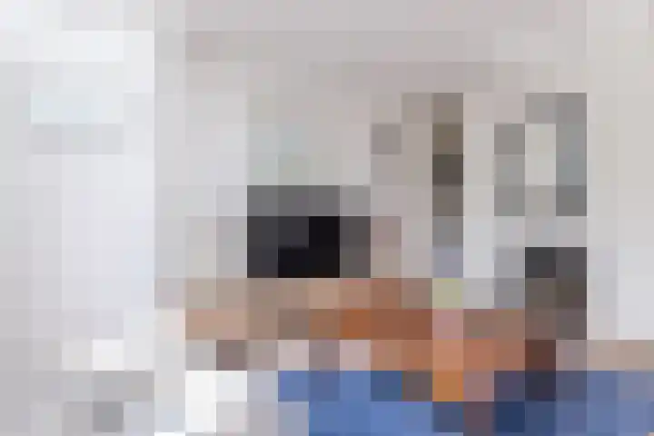Ganimedesstraat 52 Krommenie thumbnail 11