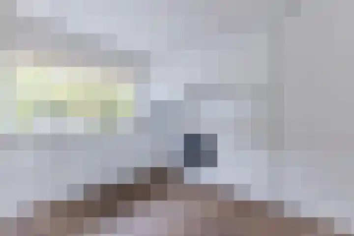 Ganimedesstraat 52 Krommenie thumbnail 17