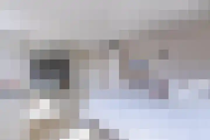 Ganimedesstraat 52 Krommenie thumbnail 23