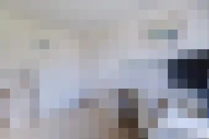 Ganimedesstraat 52 Krommenie thumbnail 26