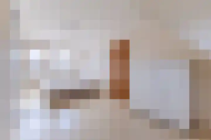 Ganimedesstraat 52 Krommenie thumbnail 32