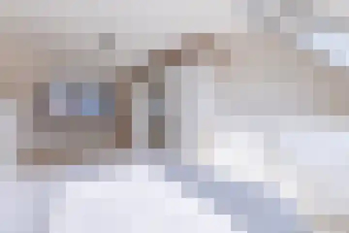 Ganimedesstraat 52 Krommenie thumbnail 34