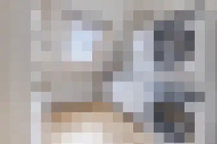 Ganimedesstraat 52 Krommenie thumbnail 36