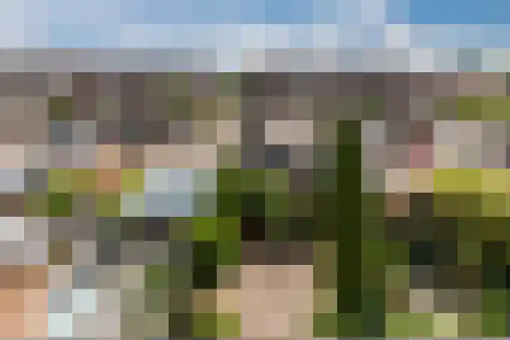 Ganimedesstraat 52 Krommenie thumbnail 38