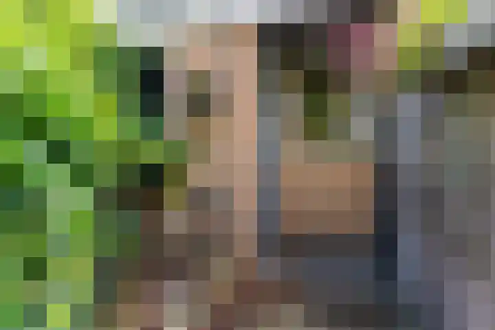 Ganimedesstraat 52 Krommenie thumbnail 45