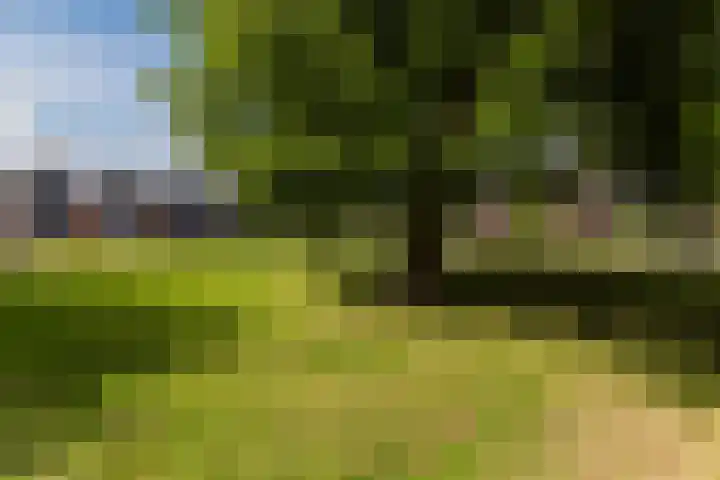 Ganimedesstraat 52 Krommenie thumbnail 49