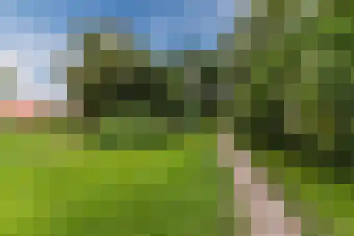 Ganimedesstraat 52 Krommenie thumbnail 51