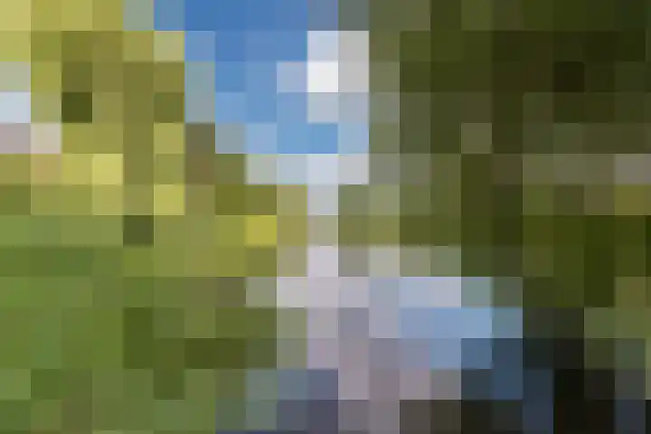 Ganimedesstraat 52 Krommenie thumbnail 52