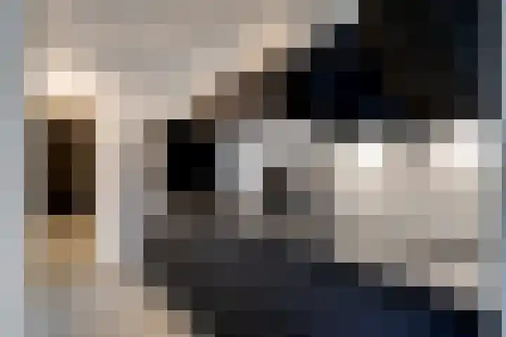 Gank 1 Geulle thumbnail 19