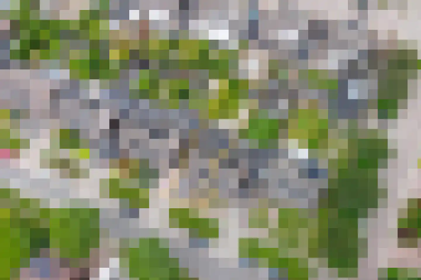 Gank 25 Landgraaf thumbnail 24