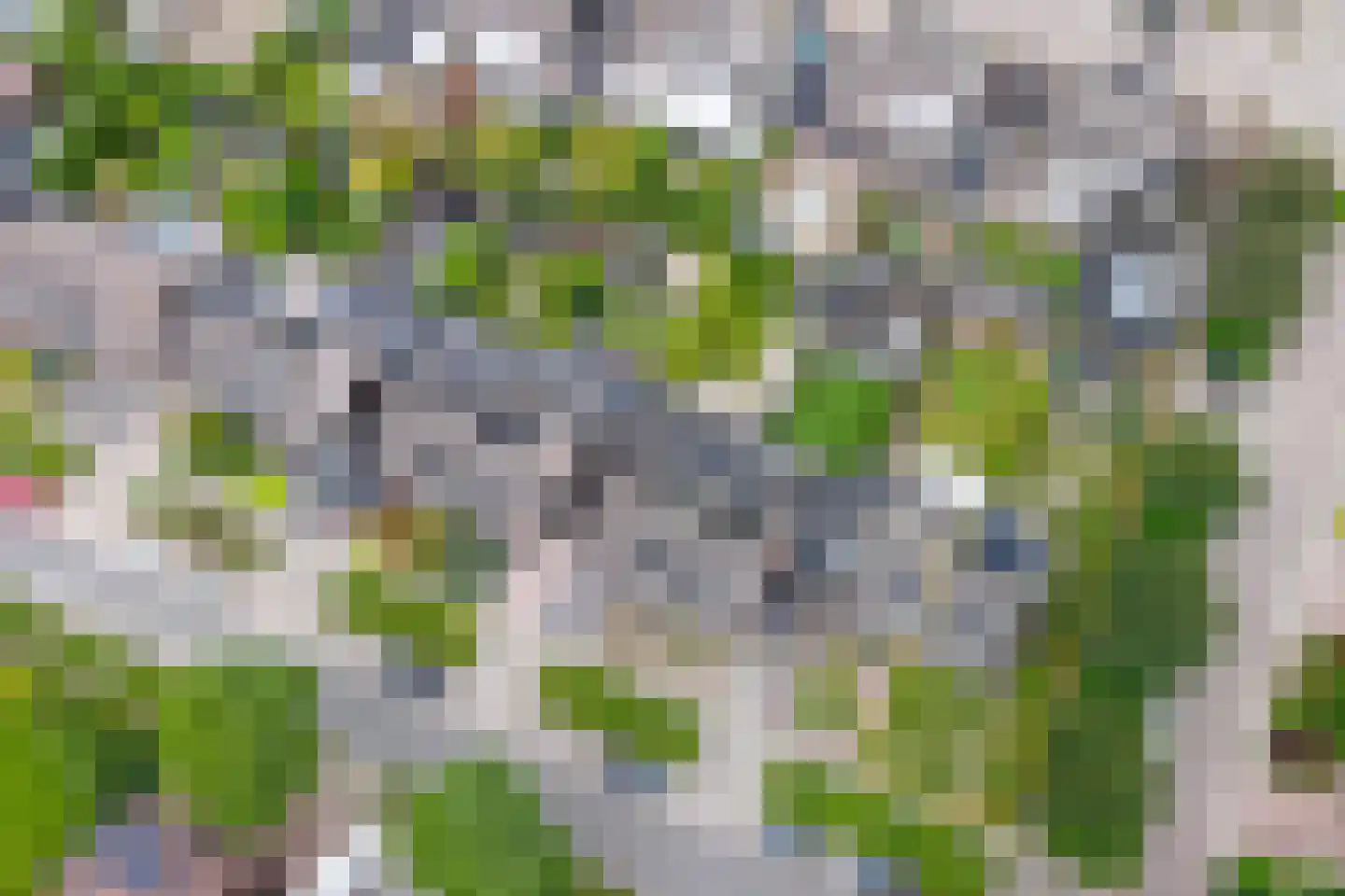 Gank 31 Landgraaf thumbnail 27