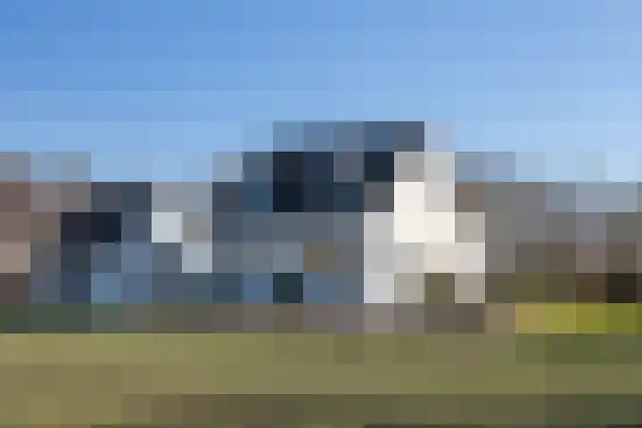 Gank 4 Geulle