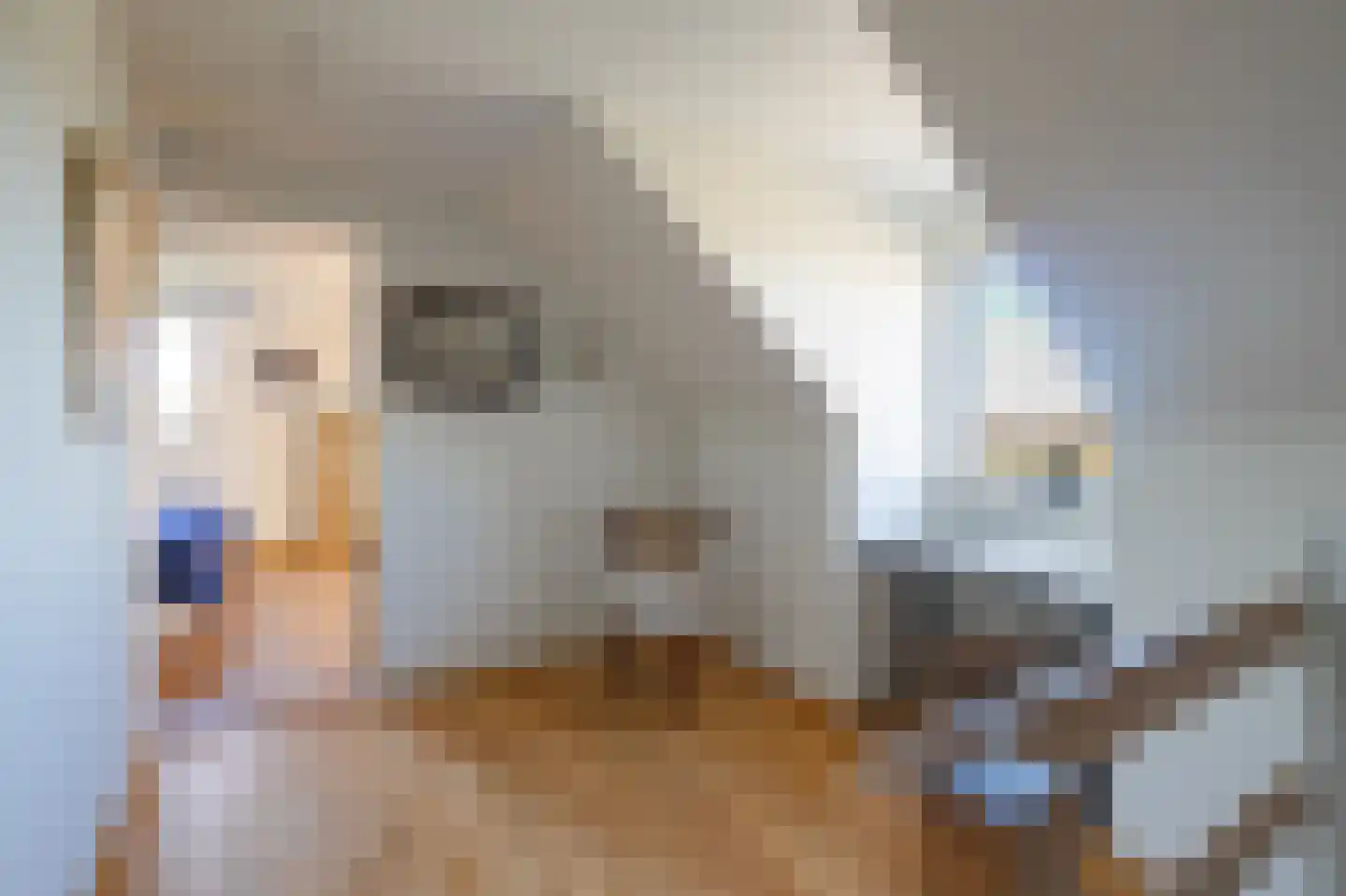 Gank 4 Geulle thumbnail 18