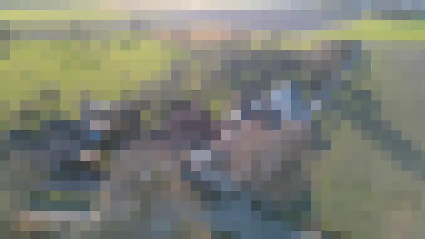 Gank 4 Geulle thumbnail 39