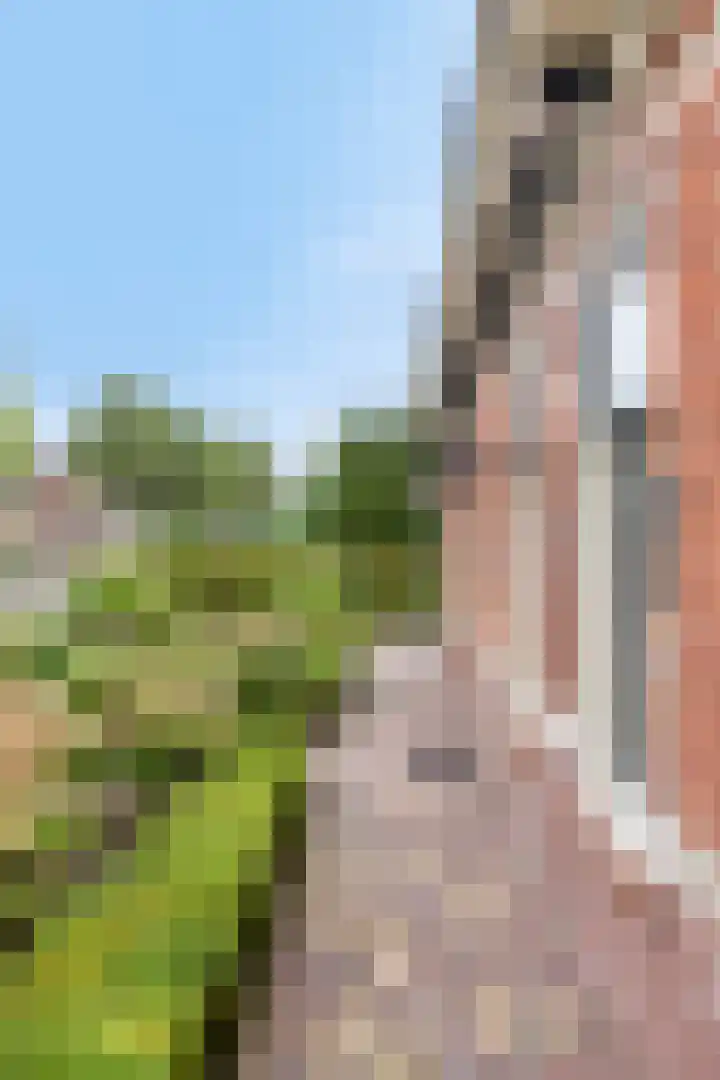 Ganker 104 a Nibbixwoud thumbnail 10