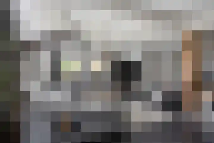 Ganker 104 a Nibbixwoud thumbnail 13