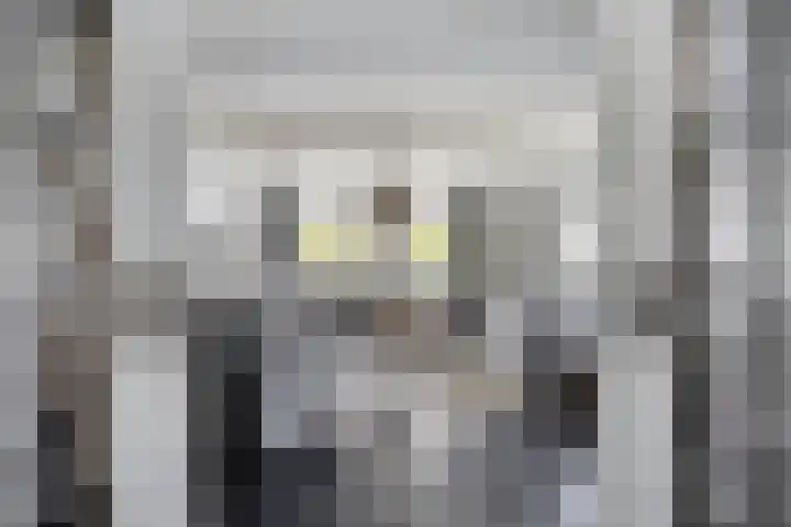 Ganker 104 a Nibbixwoud thumbnail 14