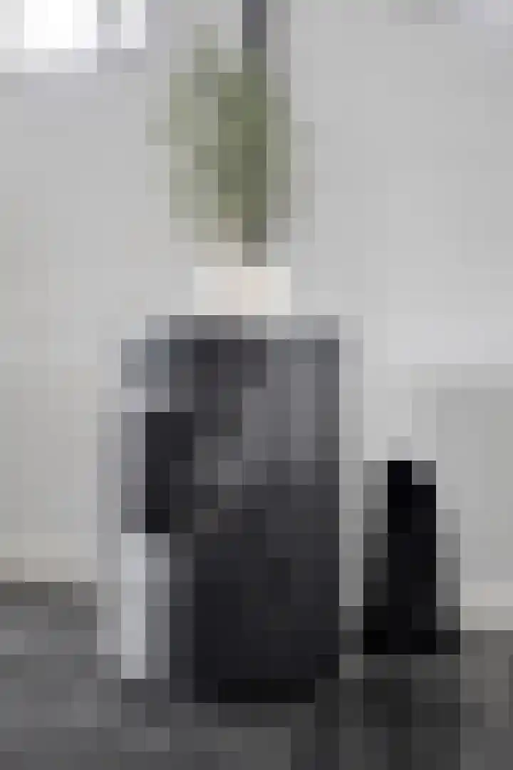 Ganker 104 a Nibbixwoud thumbnail 17