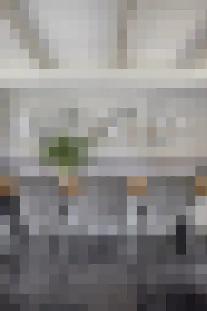 Ganker 104 a Nibbixwoud thumbnail 18