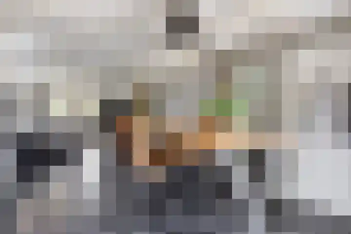 Ganker 104 a Nibbixwoud thumbnail 22
