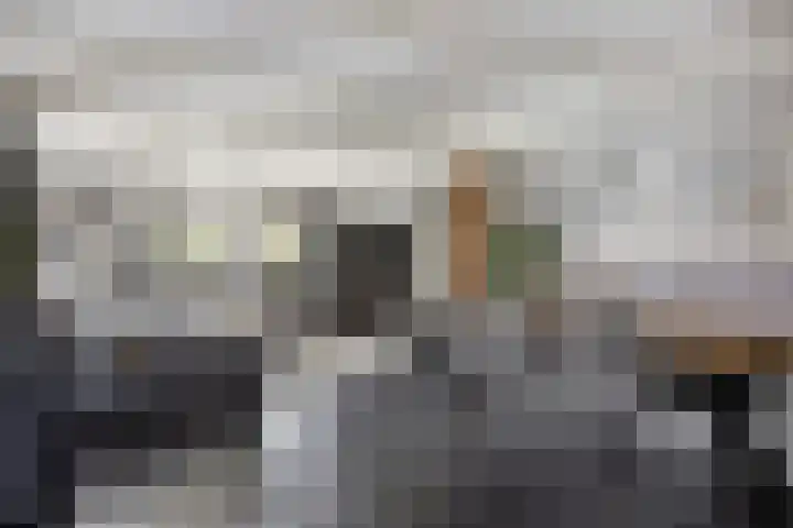 Ganker 104 a Nibbixwoud thumbnail 24