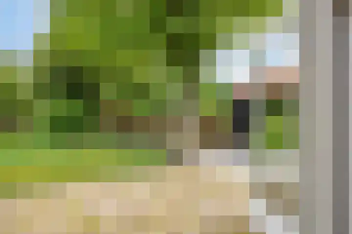 Ganker 104 a Nibbixwoud thumbnail 25
