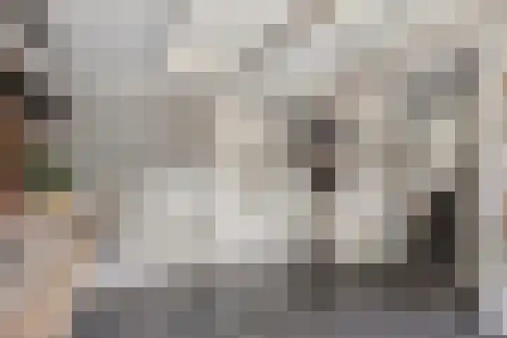 Ganker 104 a Nibbixwoud thumbnail 29