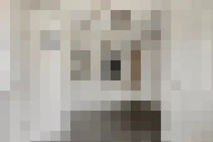 Ganker 104 a Nibbixwoud thumbnail 33