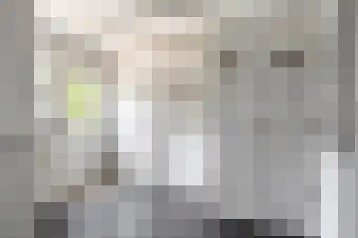 Ganker 104 a Nibbixwoud thumbnail 34
