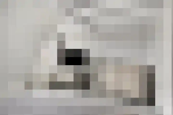Ganker 104 a Nibbixwoud thumbnail 38