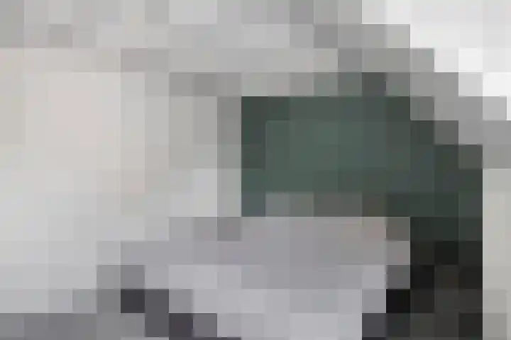 Ganker 104 a Nibbixwoud thumbnail 39