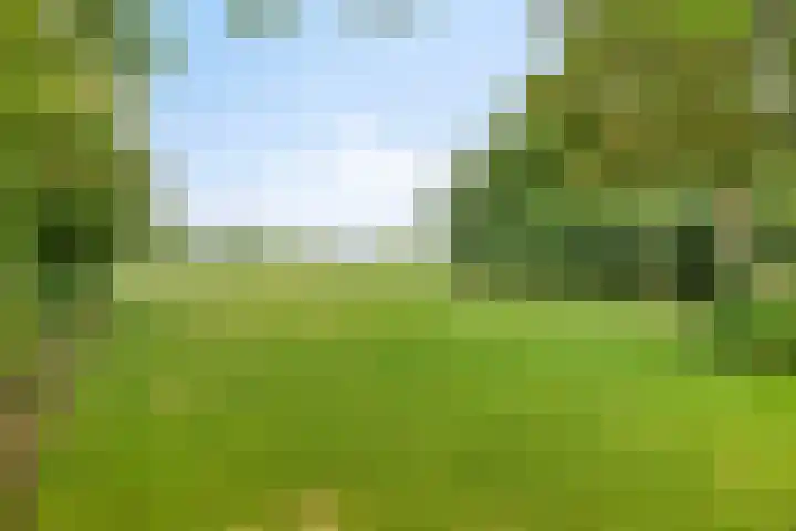 Ganker 104 a Nibbixwoud thumbnail 4