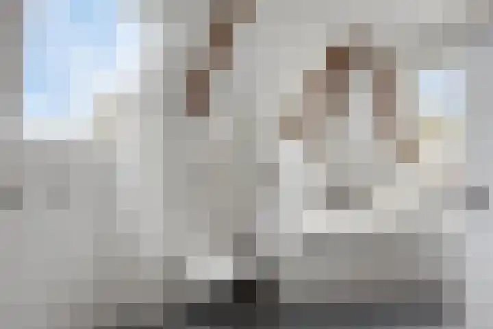 Ganker 104 a Nibbixwoud thumbnail 40