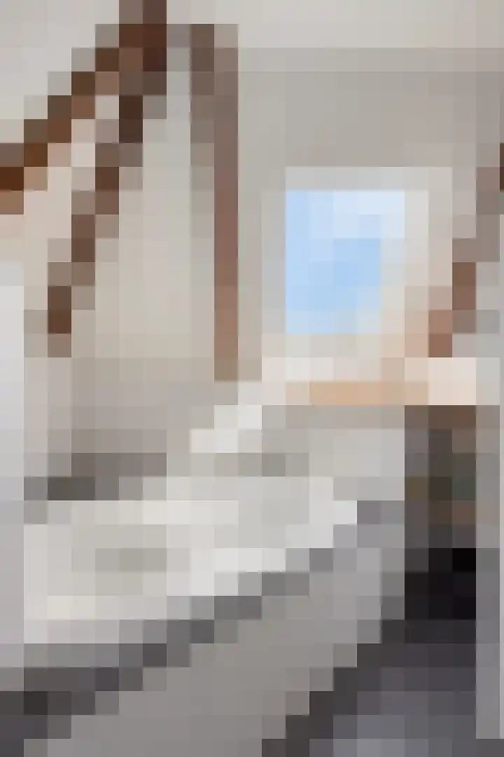 Ganker 104 a Nibbixwoud thumbnail 42