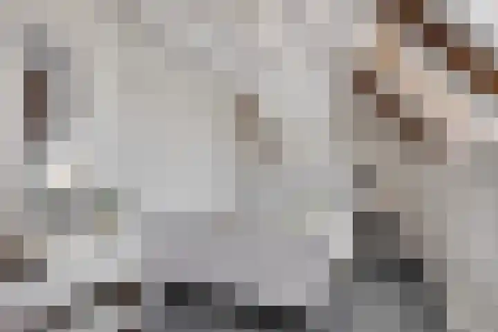Ganker 104 a Nibbixwoud thumbnail 44