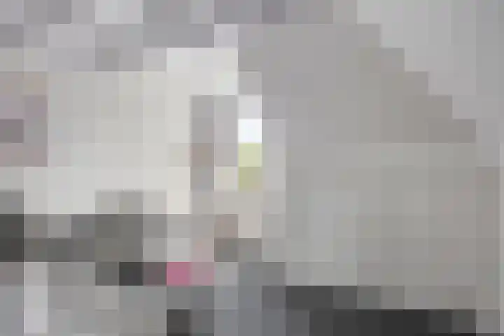 Ganker 104 a Nibbixwoud thumbnail 48