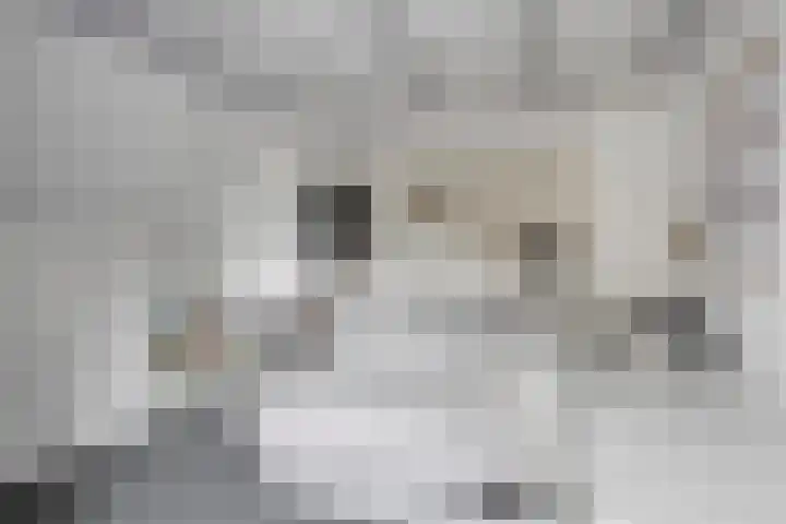 Ganker 104 a Nibbixwoud thumbnail 49