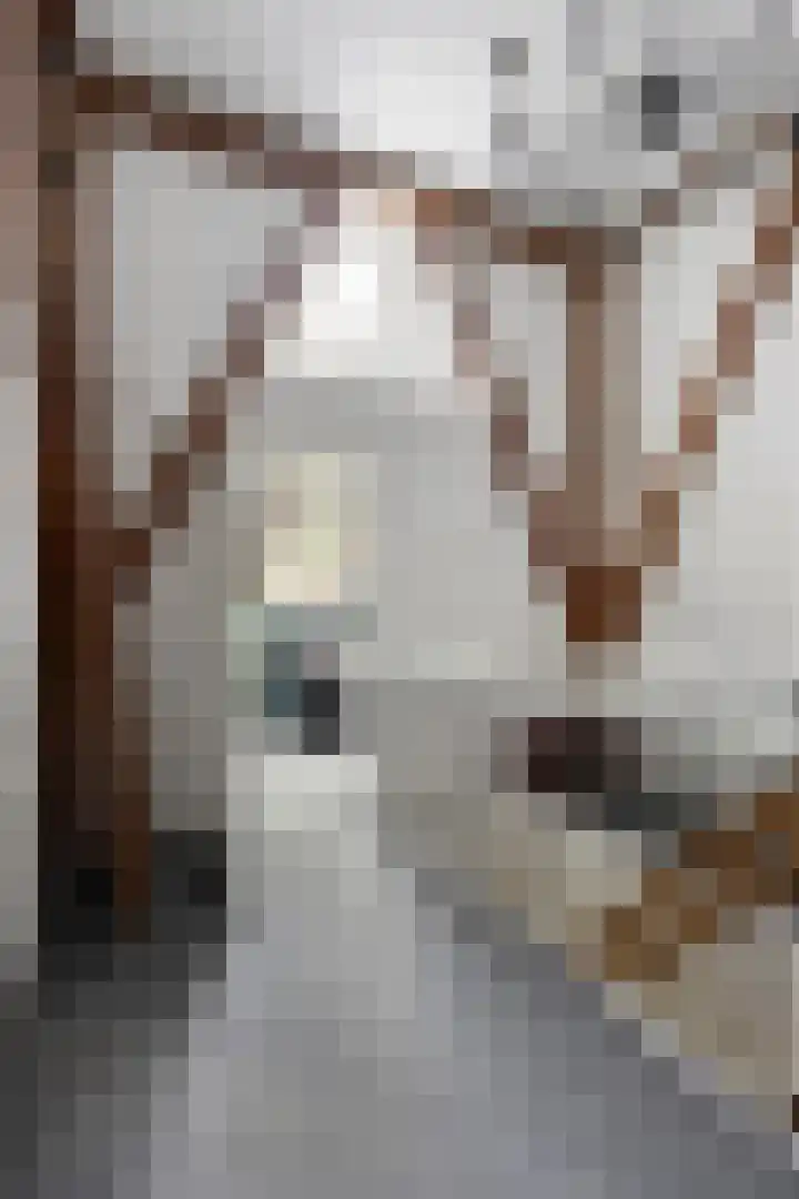 Ganker 104 a Nibbixwoud thumbnail 51