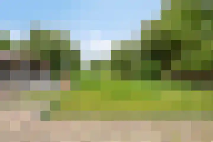 Ganker 104 a Nibbixwoud thumbnail 54