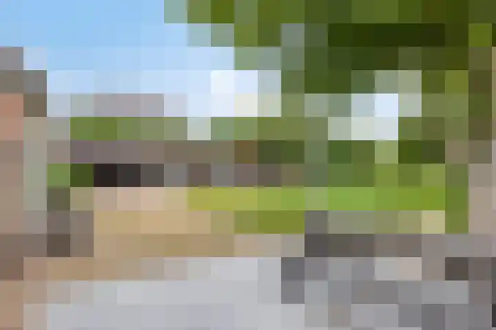 Ganker 104 a Nibbixwoud thumbnail 55