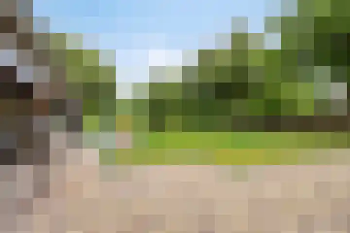 Ganker 104 a Nibbixwoud thumbnail 56