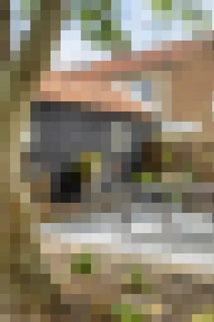 Ganker 104 a Nibbixwoud thumbnail 59