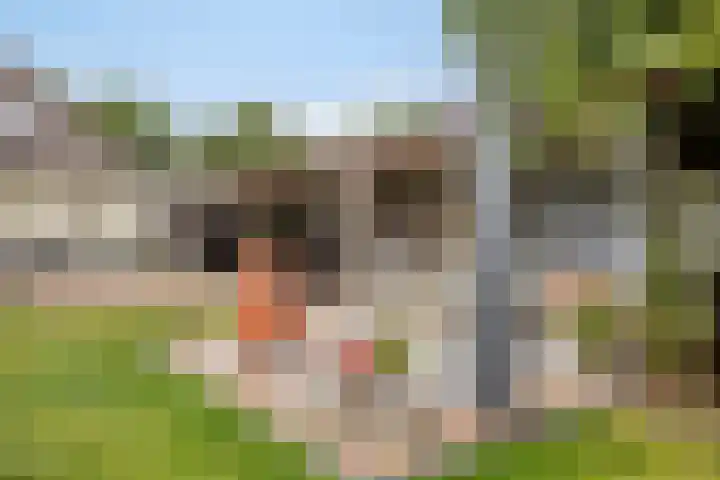Ganker 104 a Nibbixwoud thumbnail 62