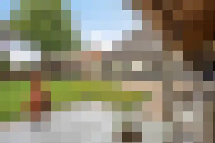 Ganker 104 a Nibbixwoud thumbnail 63
