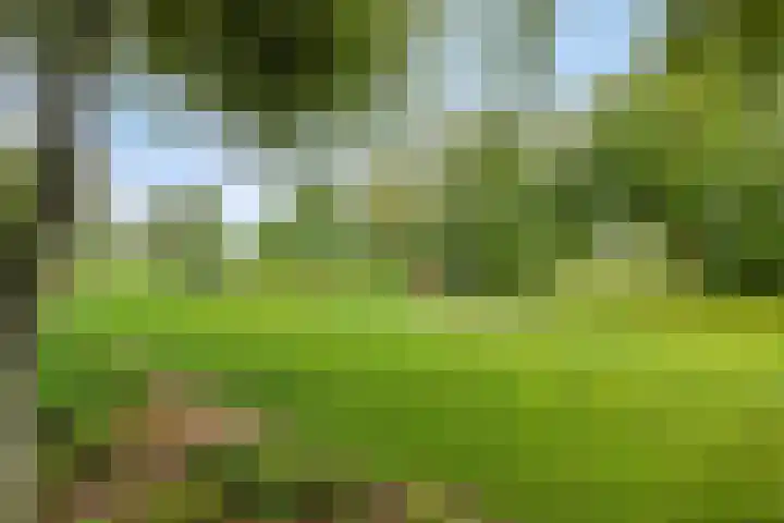 Ganker 104 a Nibbixwoud thumbnail 64