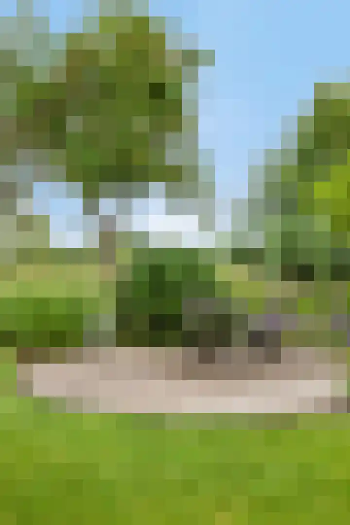 Ganker 104 a Nibbixwoud thumbnail 65