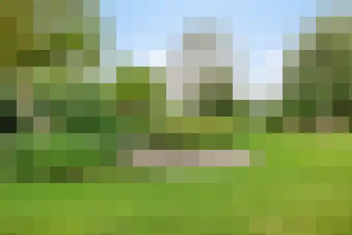 Ganker 104 a Nibbixwoud thumbnail 66