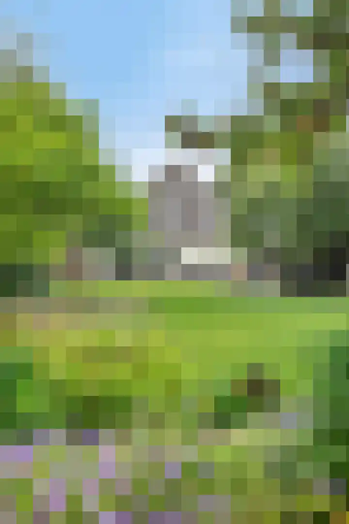 Ganker 104 a Nibbixwoud thumbnail 67