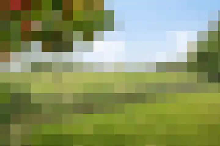 Ganker 104 a Nibbixwoud thumbnail 68